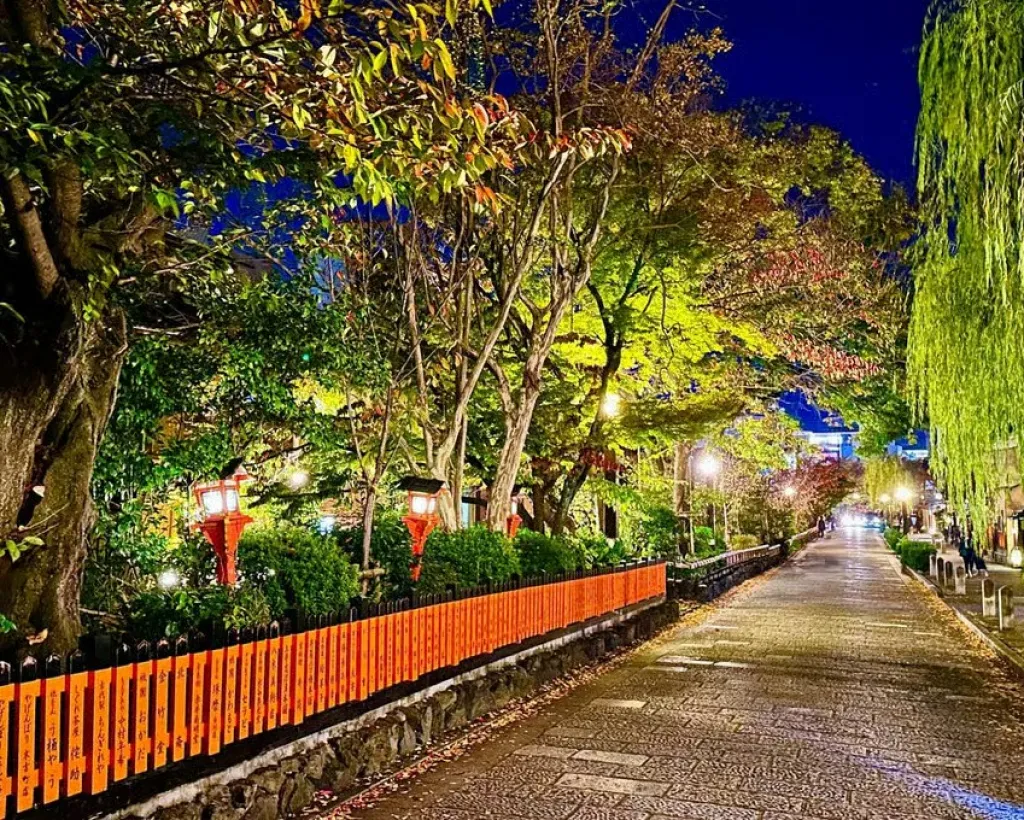 Kyoto: Private LED E-Bike Night Ride Through Gion#4