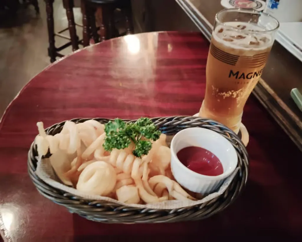 Okazaki: Bar Hopping in JR Okazaki or Higashi-Okazaki#4