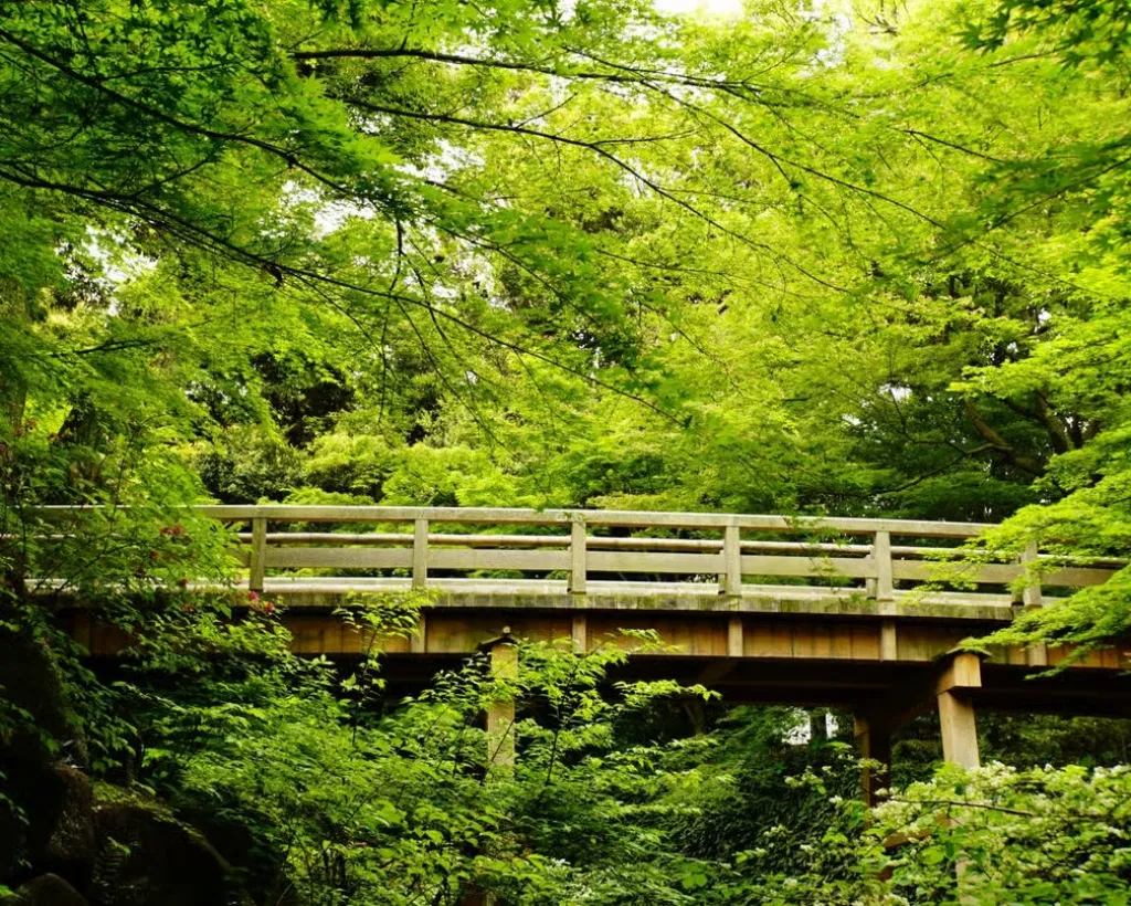 Nagoya: Exploring the Beauty of Tokugawa-en Garden#5