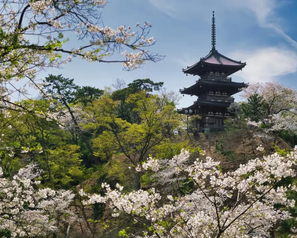 Yokohama: Sankeien Garden Private Guided Walking Tour#2