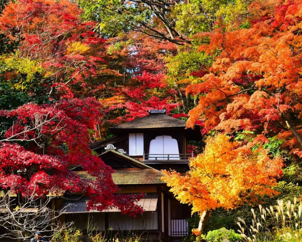Yokohama: Sankeien Garden Private Guided Walking Tour#4