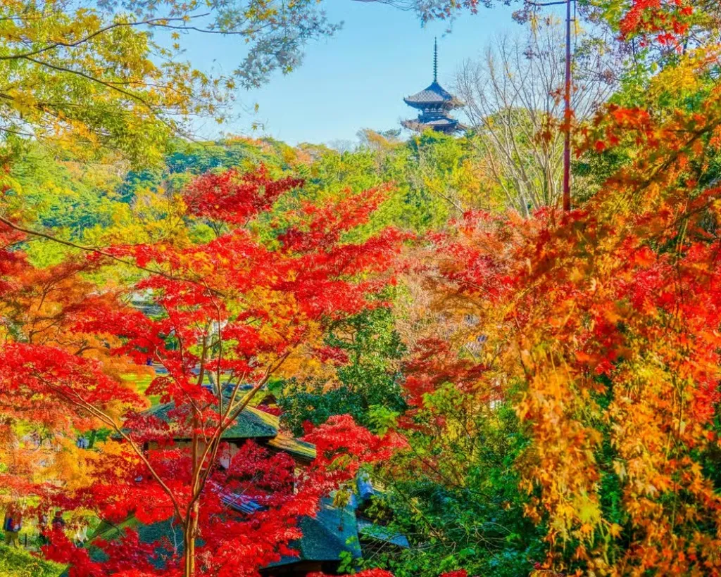 Yokohama: Sankeien Garden Private Guided Walking Tour#3