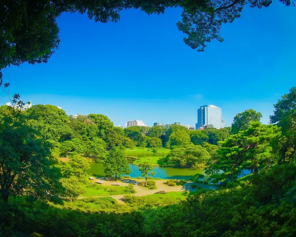 Tokyo: Edo-Period Rikugien Garden Walk with Matcha#1
