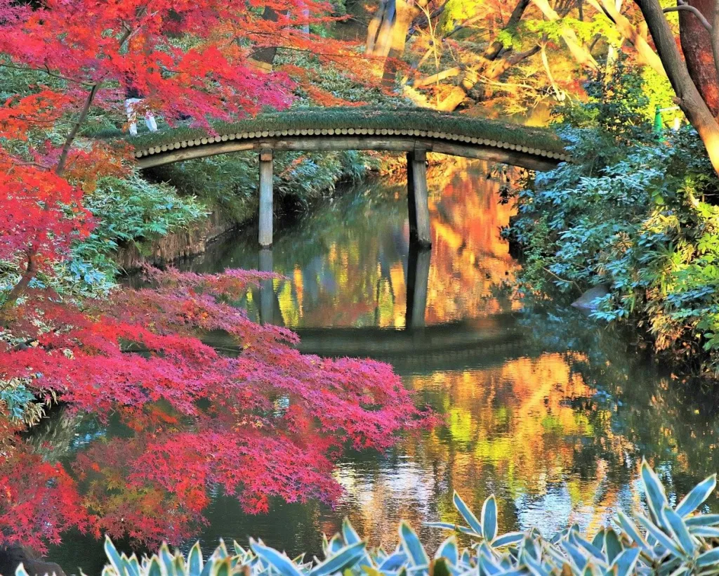 Tokyo: Edo-Period Rikugien Garden Walk with Matcha#2