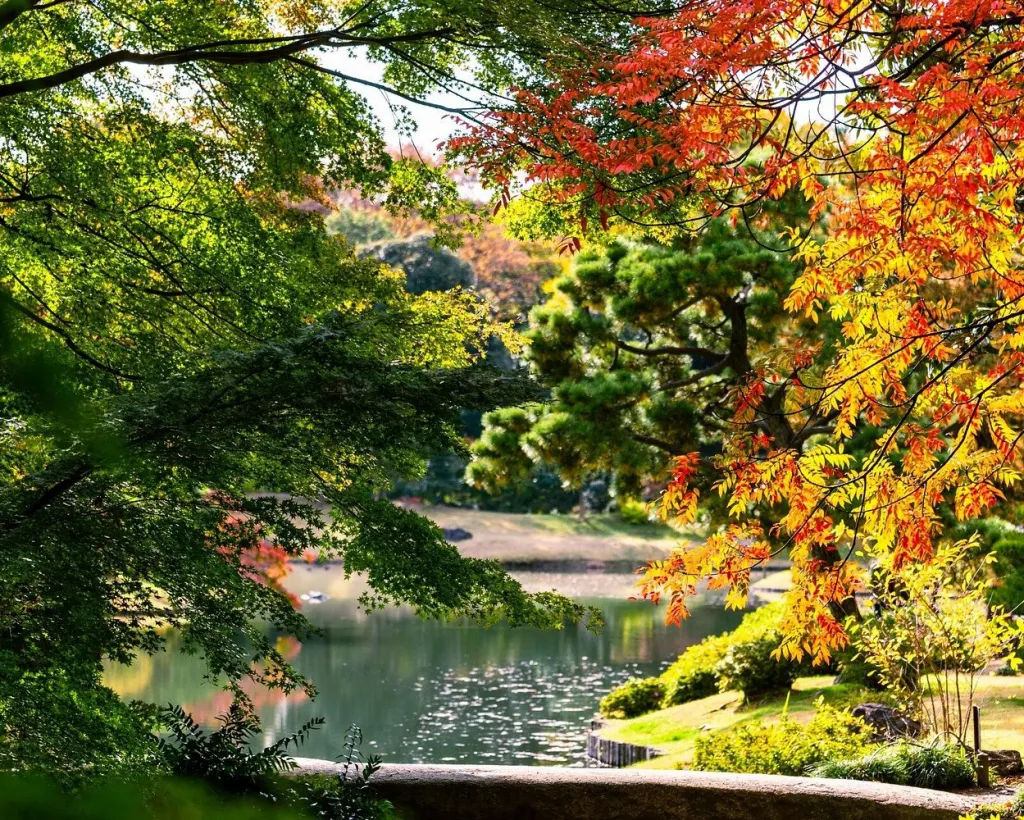 Tokyo: Edo-Period Rikugien Garden Walk with Matcha#4