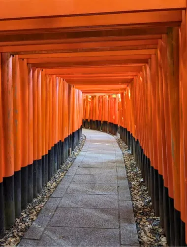Kyoto: 1.5-Hour Guided Tour of Fushimi Inari Shrine