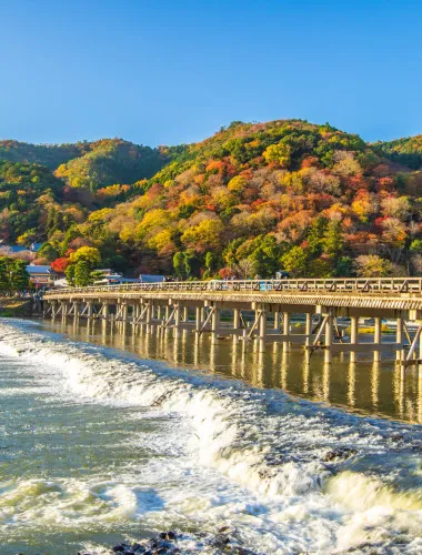 Kyoto: Arashiyama Guided Tour, Bamboo, Monkey, Zen Temple