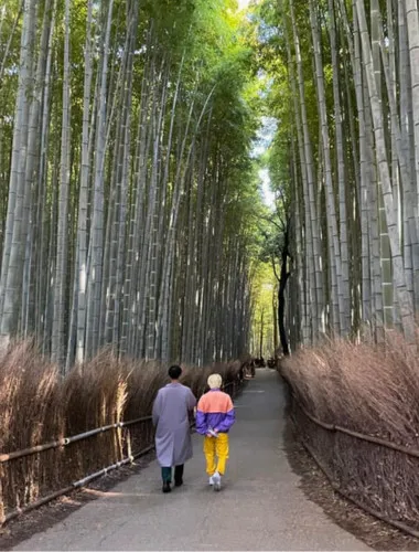 Kyoto: Highlights of Arashiyama in 2 hours - Guided tour