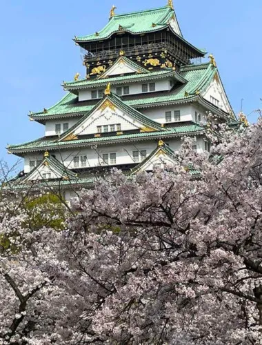 Osaka: 3-hour Osaka Castle & Historical Museum Guided Tour
