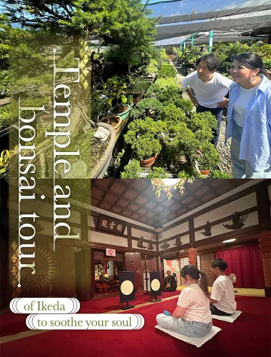 Temple and bonsai tour of Ikeda to soothe your soul