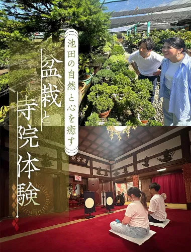 池田の自然と心を癒す、盆栽と寺院体験ツアー