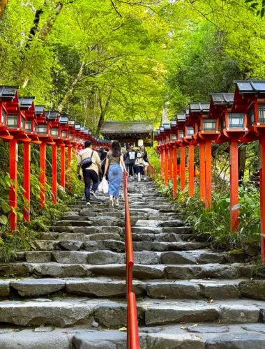 Kyoto: 100% Private Custom Walking Tour (4/8 Hrs)
