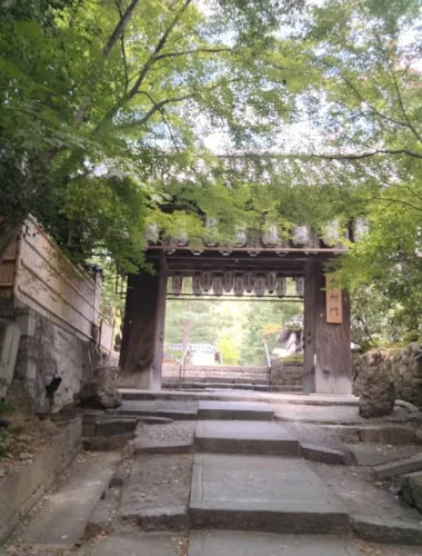 Kyoto: Explore Kodaiji Temple Surrounded by Quaint Gardens