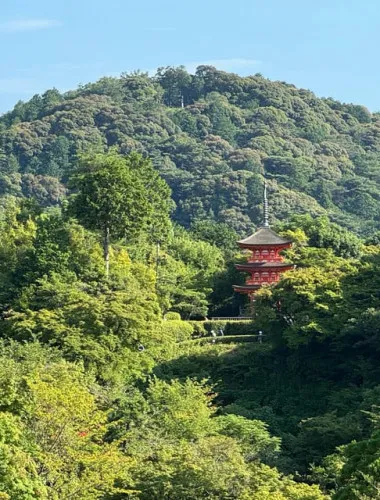 Kyoto: Guided Tour in UNESCO Site, Kiyomizu-dera - 90 Min.
