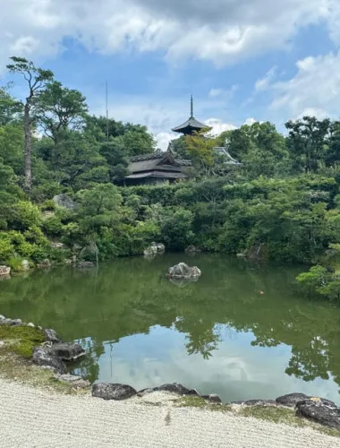 Kyoto: Ninna-ji, Stunning Pagoda and Gardens Tour in 1.5h