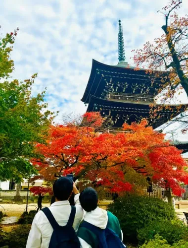 Takayama Private Custom Walking Tour