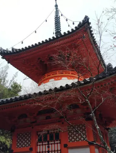 Hiroshima: Mitaki-ji Temple Guided Tour 1.5h