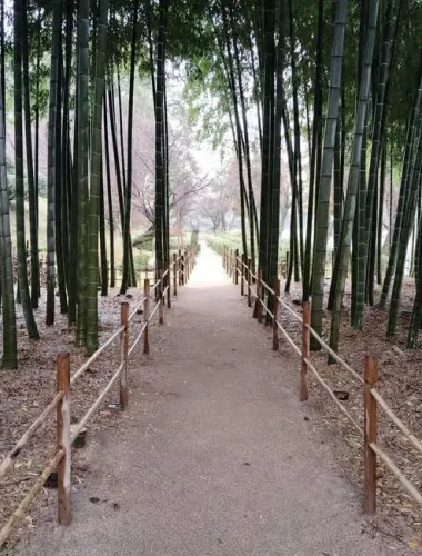 Hiroshima: Shukkei-en Garden with local guide 90min