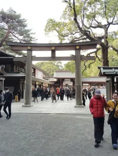Tokyo: Meiji Jingu Shrine & Inner Garden Private Tour (2h)