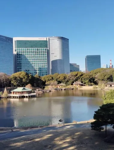 Tokyo: Hama-rikyu Garden Guided Tour with Entry Ticket