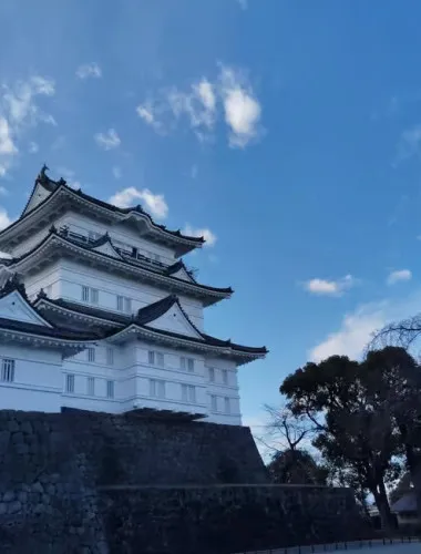 Odawara: Castle Guided Tour with Panoramic Views