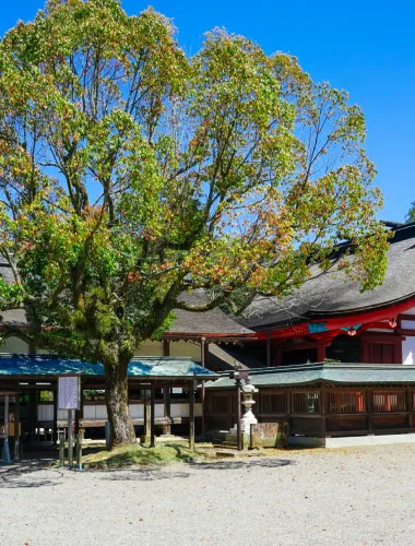 Fukuoka: Munakata Taisha Shrine Guided Tour – UNESCO Site