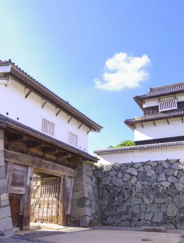 Fukuoka: Fukuoka Castle and Ohori Park Guided Tour