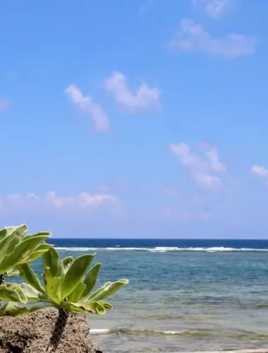 Okinawa: Sacred Island Tour to Kudaka’s Ryukyuan Holy Sites