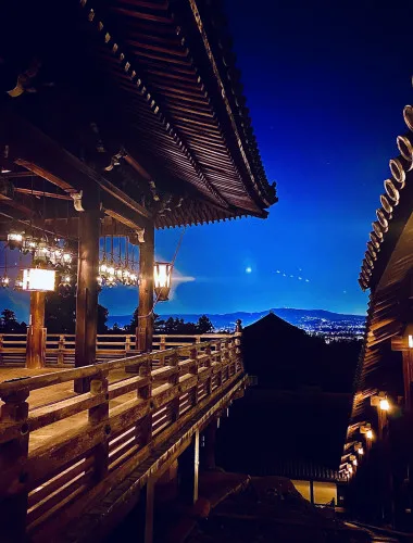 Nara: Night Walking Guided Tour - Beauty in a Peaceful Night