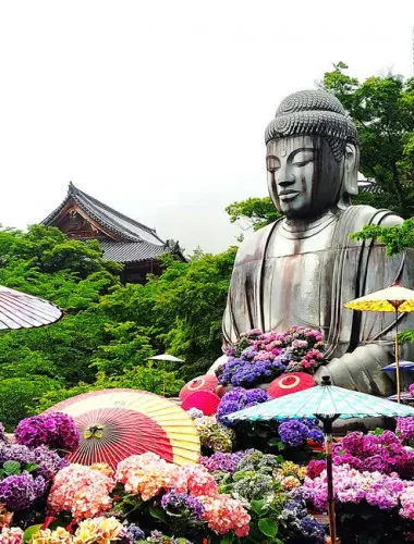 Nara: Discover a Giant Stone Buddha in the Forest Hills