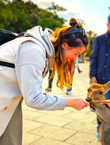 Nara: Hike Mt. Wakakusa and Encounter Wild Free-Roaming Deer