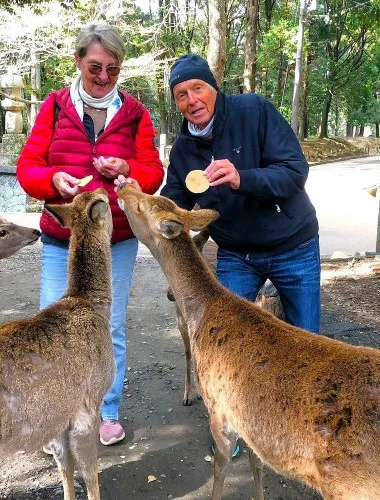 Nara Private Custom Walking Tour