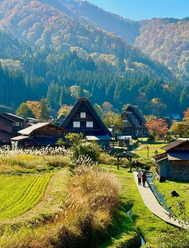 Gifu: Private Guided Tour of Shirakawa-go