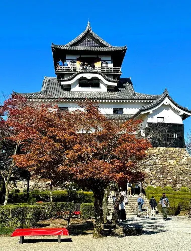 Nagoya: National Treasure Inuyama Castle & Tea Room Private Tour