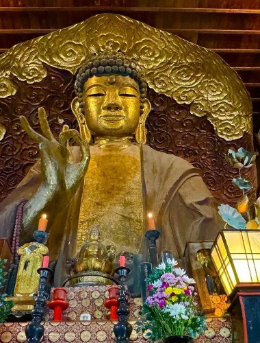 Gifu: Half Day Private Tour Castle, Great Buddha and Old Town