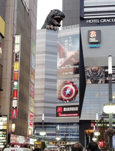 Tokyo City guided tour to Shinjuku and Shibuya