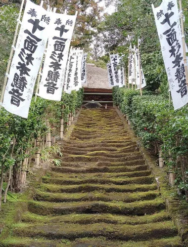 Kamakura: Hidden Gems and Sacred Sites Guided Tour