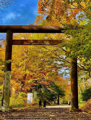 Sapporo: Hokkaido Shrine Tour with Rituals, History & Sweets