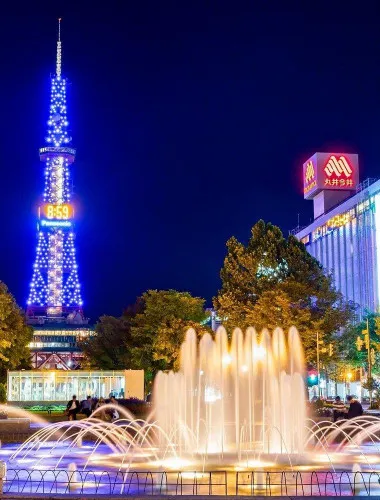 Sapporo: Illuminated Landmarks and TV Tower Night View Tour