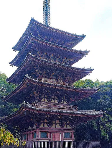 Kyoto: Daigo-ji Temple, Hidden Treasure of History & Beauty