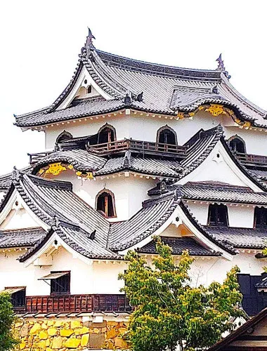 Shiga: Guided Hikone Castle Experience with Samurai Heritage