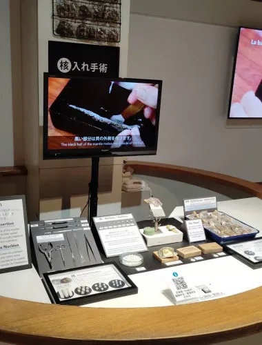 Mie: Mikimoto Pearl Island and the Birth of Cultured Pearls