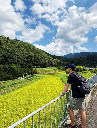 Osaka: Walking tour through the beautiful woodlands, rice fields and around authentic traditional neighborhoods