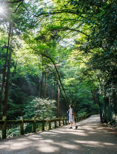 Osaka: Craft beer tasting and majestic waterfall hiking tour