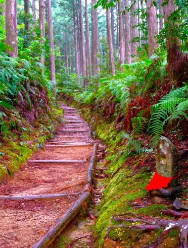 Wakayama: Walk the Kumano Kodo to Kumano Hongu Taisha