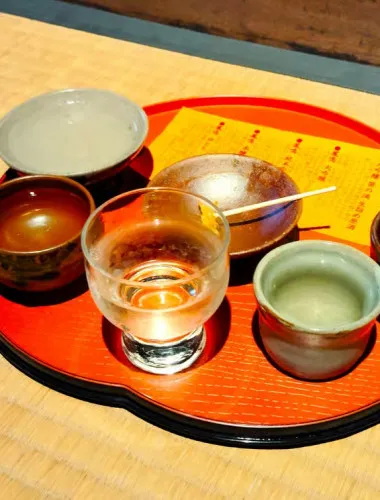 Hyogo: Tamba-Sasayama Sake Tasting Tour with Tamba Toji