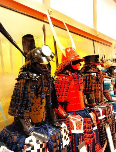 Hyogo: Sasayama Castle & Samurai Residence Guided Tour