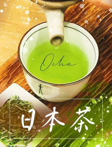 お茶の淹れ方体験（和菓子つき）