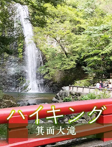  大阪 紅葉ロードハイキングと足湯