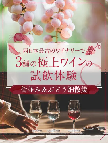 西日本最古のワイナリーで楽しむ3種の極上ワインと街並み＆ぶどう畑散策